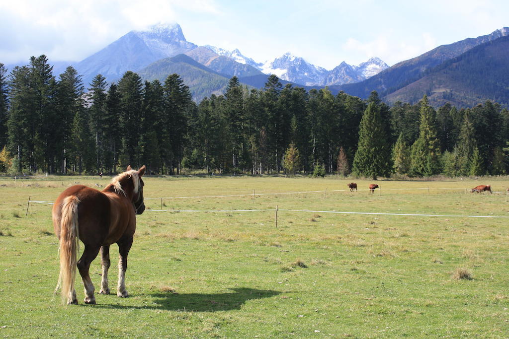 Vysoké Tatry Penzion Koliba מראה חיצוני תמונה